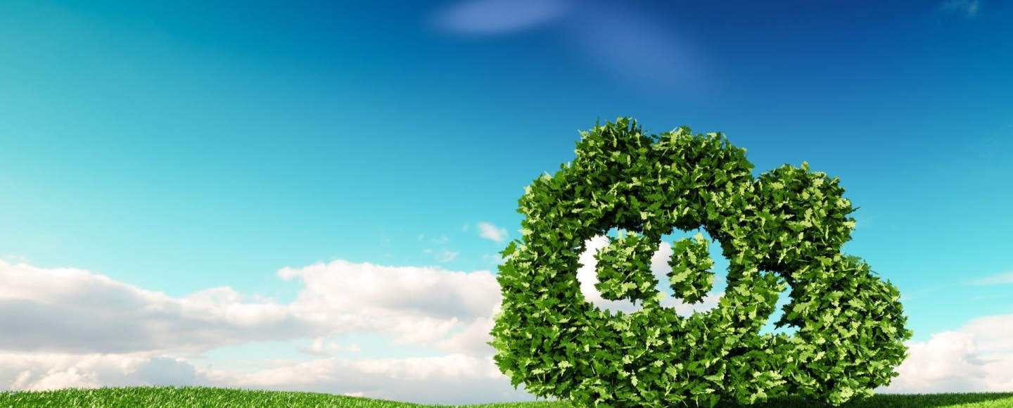 Liście układające się na kształt chmury zawierającej napis CO2 wewnątrz